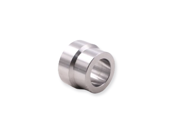 socket weld reducer insert