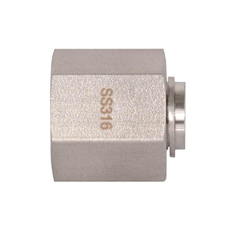 Plugs